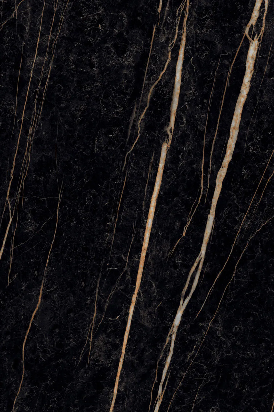Sahara Noir