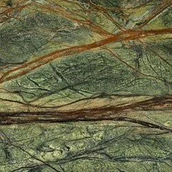 Rainforest Green